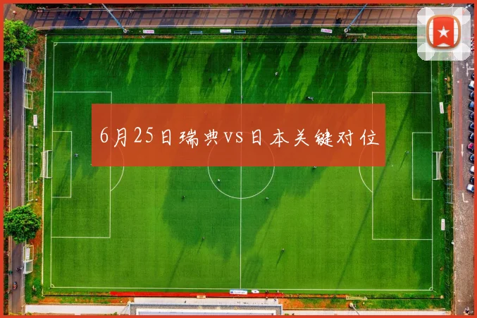 6月25日瑞典vs日本关键对位