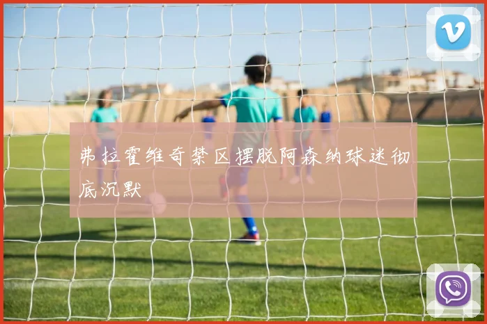 弗拉霍维奇禁区摆脱阿森纳球迷彻底沉默
