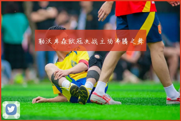勒沃库森欧冠决战主场沸腾之舞