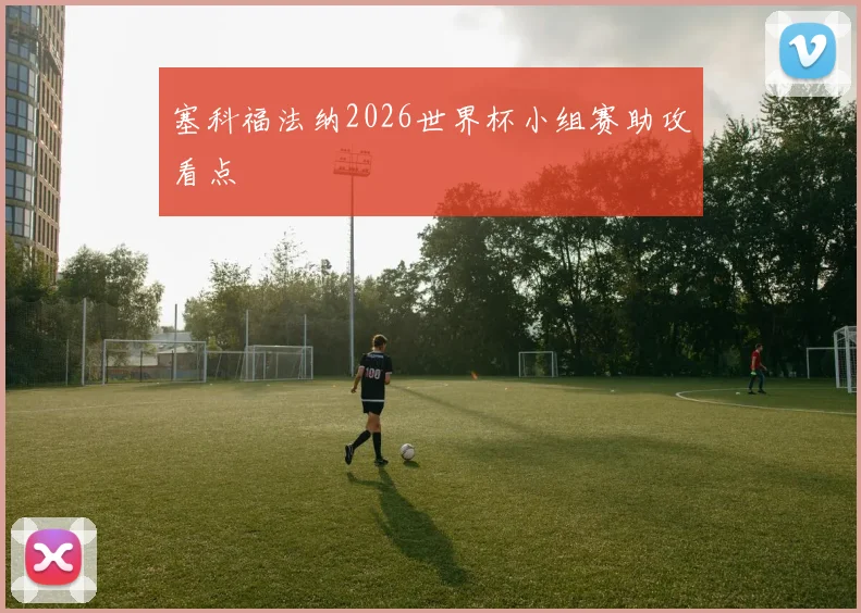 塞科福法纳2026世界杯小组赛助攻看点
