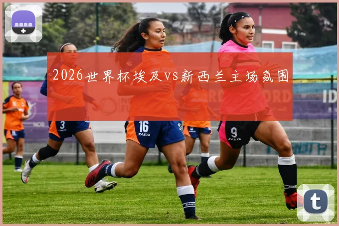 2026世界杯埃及vs新西兰主场氛围