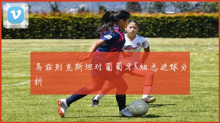 乌兹别克斯坦对葡萄牙K组总进球分析