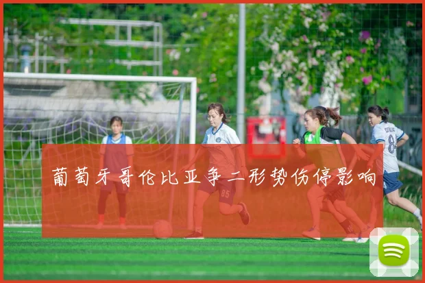 葡萄牙哥伦比亚争二形势伤停影响