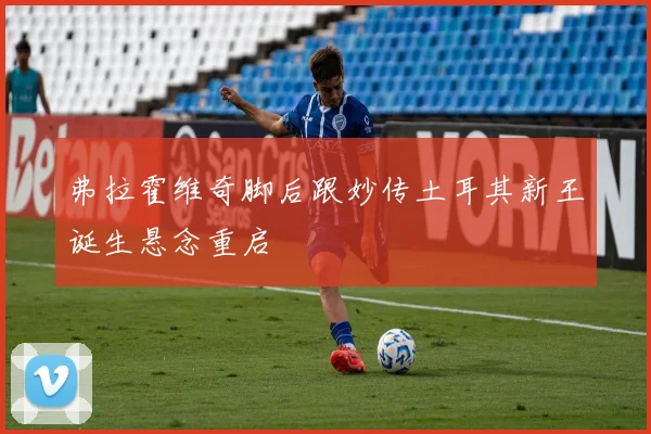 弗拉霍维奇脚后跟妙传土耳其新王诞生悬念重启