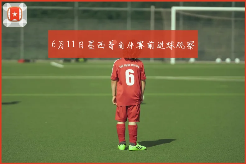 6月11日墨西哥南非赛前进球观察