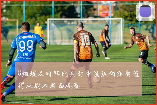G组埃及对阵比利时中场纵向距离值得从战术层面观察
