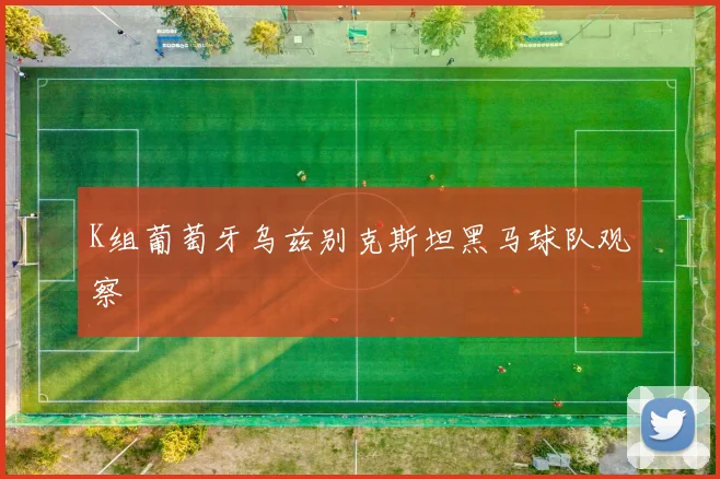 K组葡萄牙乌兹别克斯坦黑马球队观察